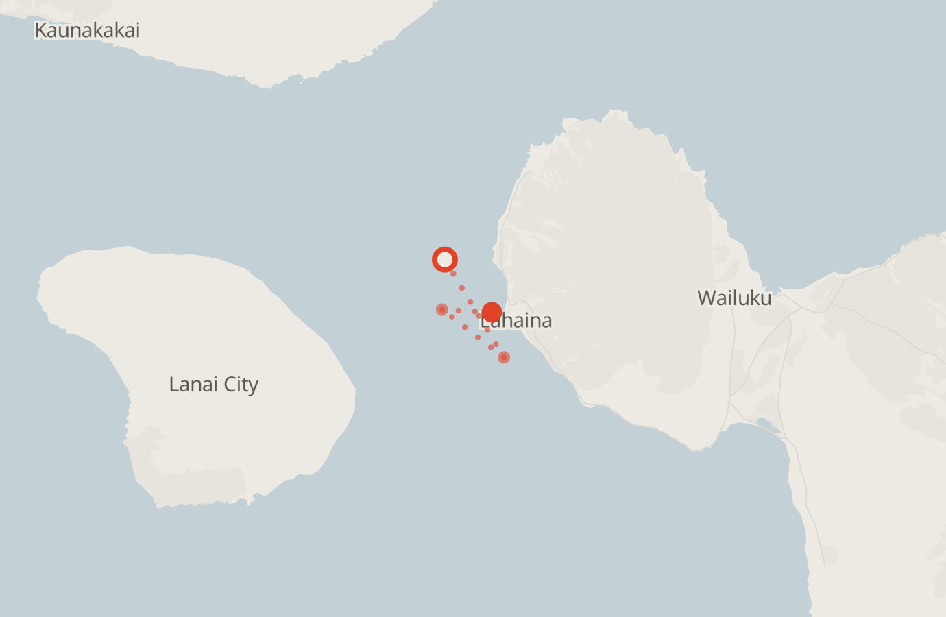 Activity map — real sighting points on an OpenStreetMap basemap