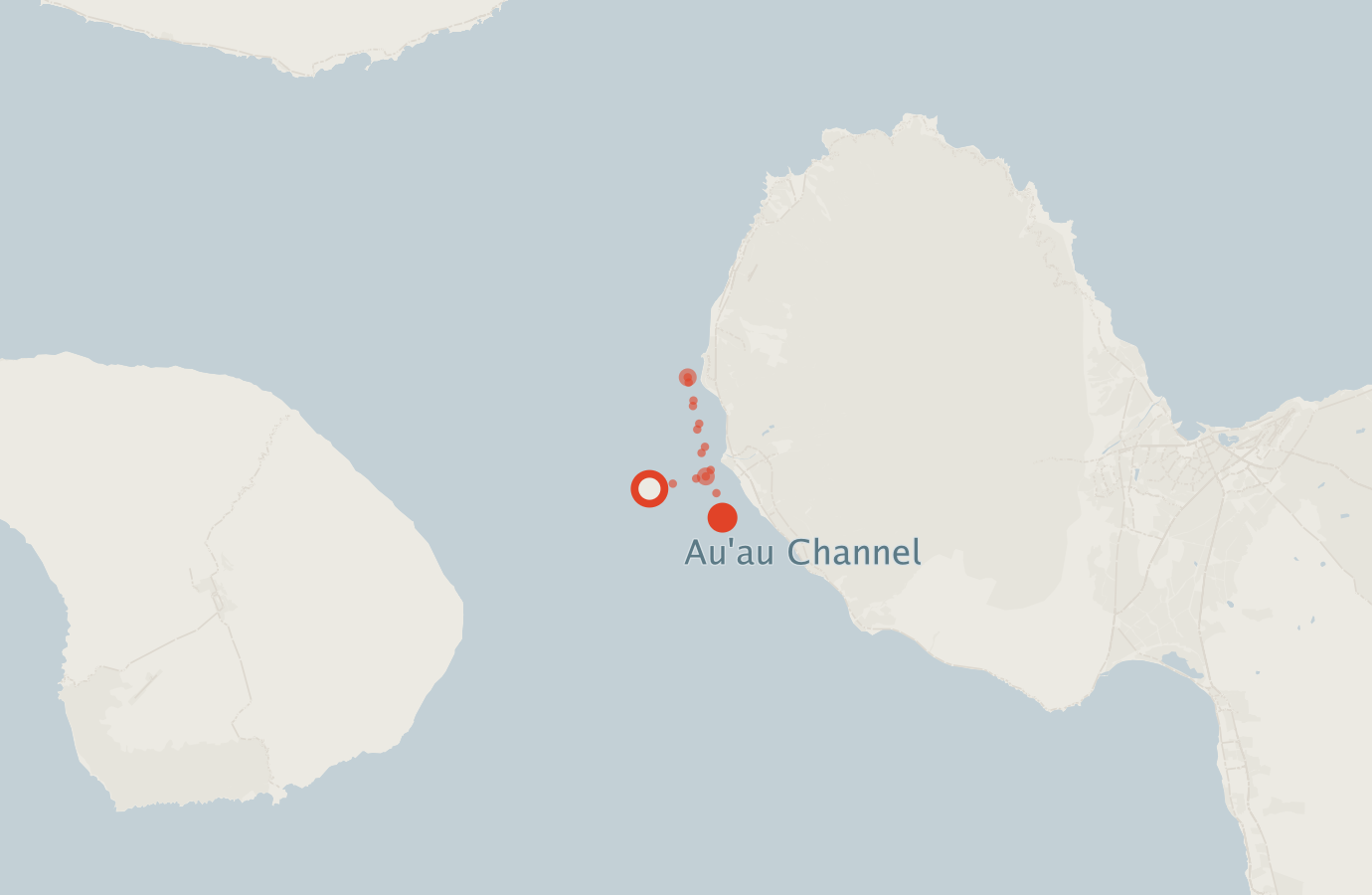 Activity map — real sighting points on an OpenStreetMap basemap