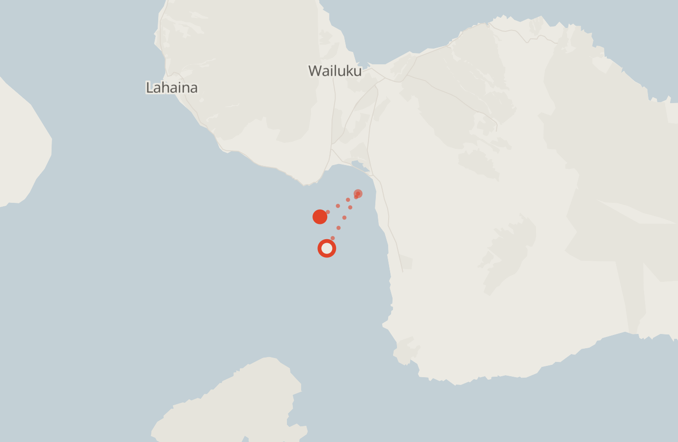 Activity map — real sighting points on an OpenStreetMap basemap