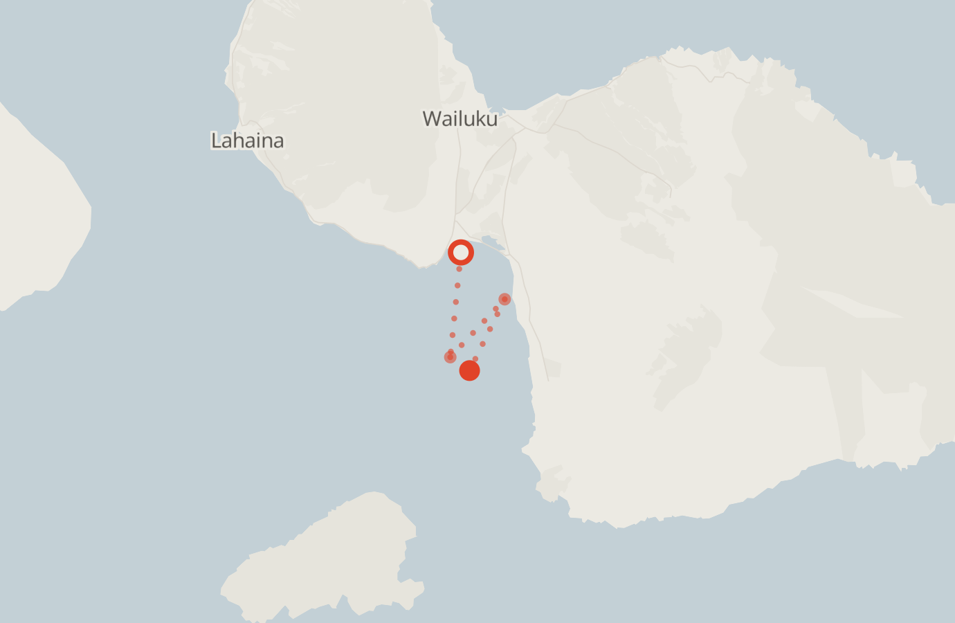 Activity map — real sighting points on an OpenStreetMap basemap
