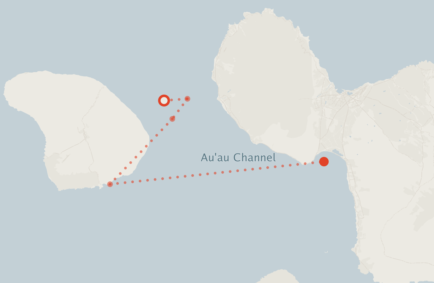 Activity map — real sighting points on an OpenStreetMap basemap