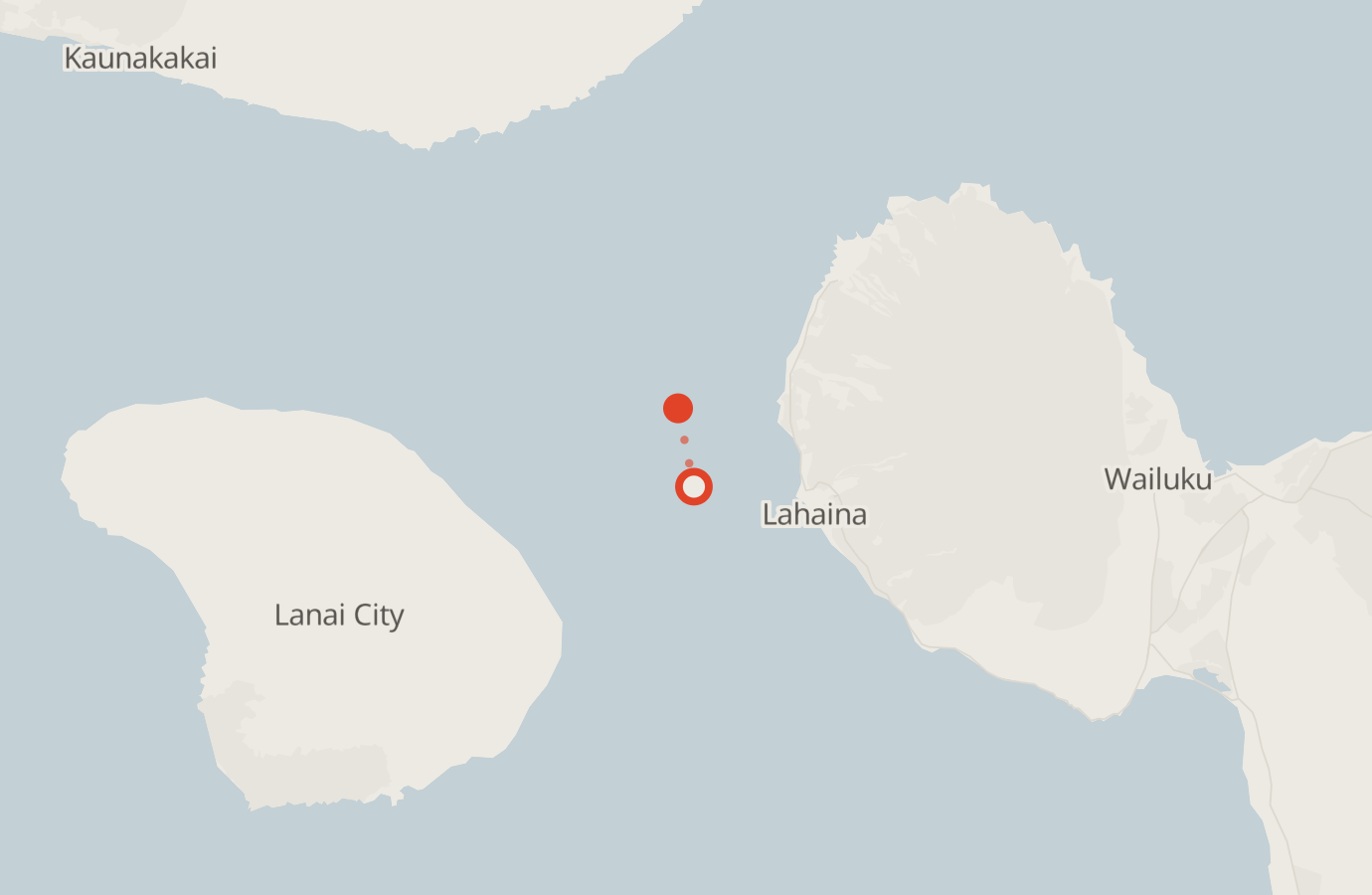 Activity map — real sighting points on an OpenStreetMap basemap