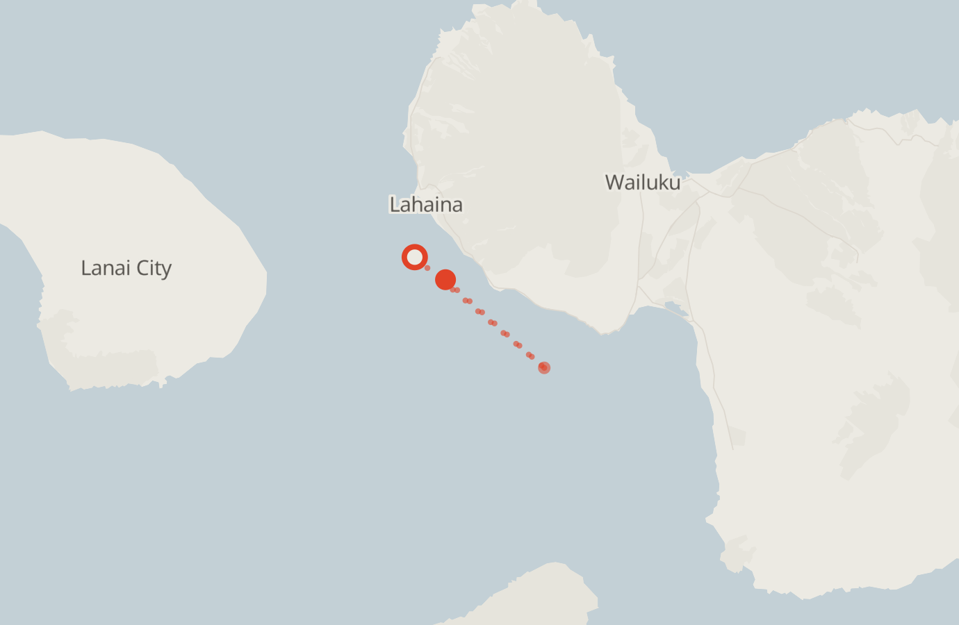 Activity map — real sighting points on an OpenStreetMap basemap