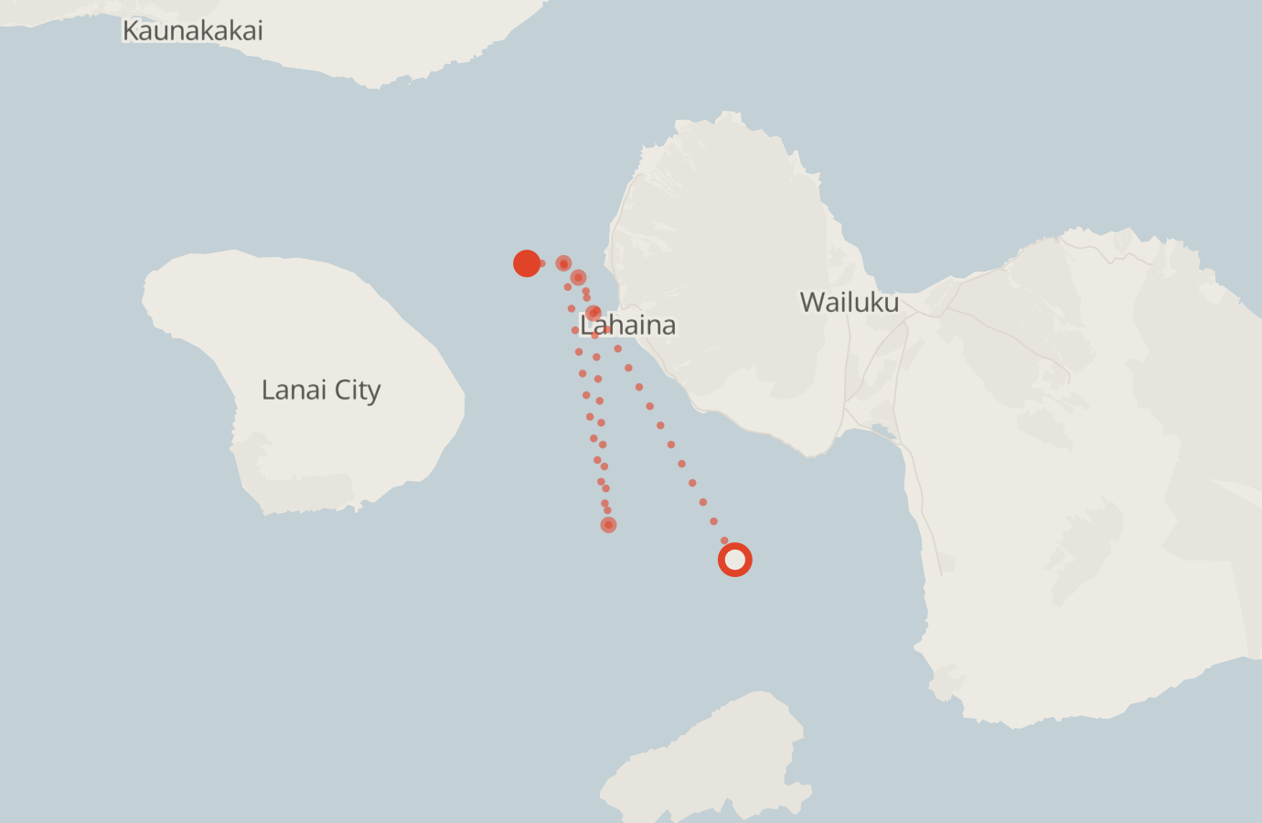 Activity map — real sighting points on an OpenStreetMap basemap