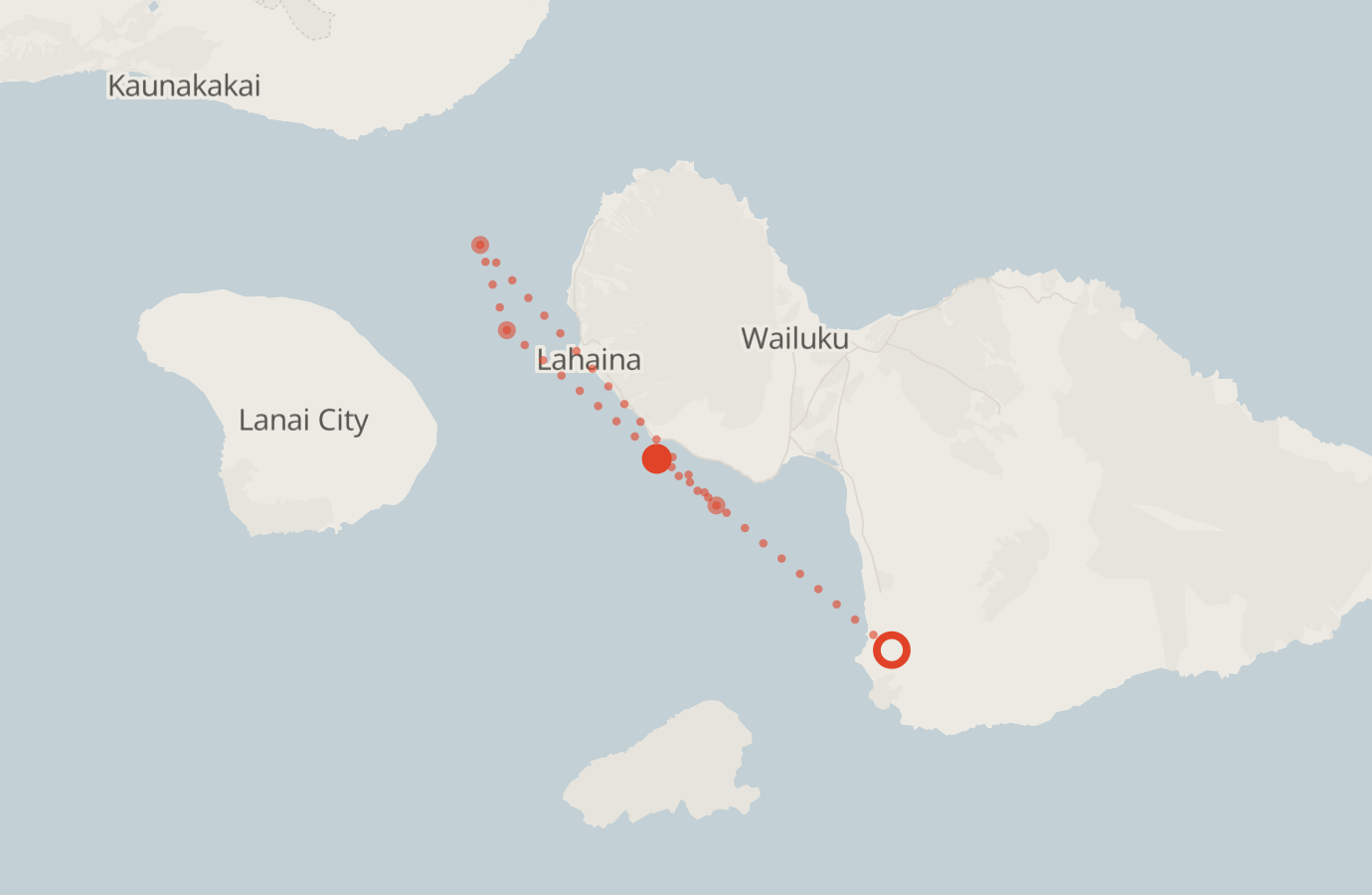 Activity map — real sighting points on an OpenStreetMap basemap