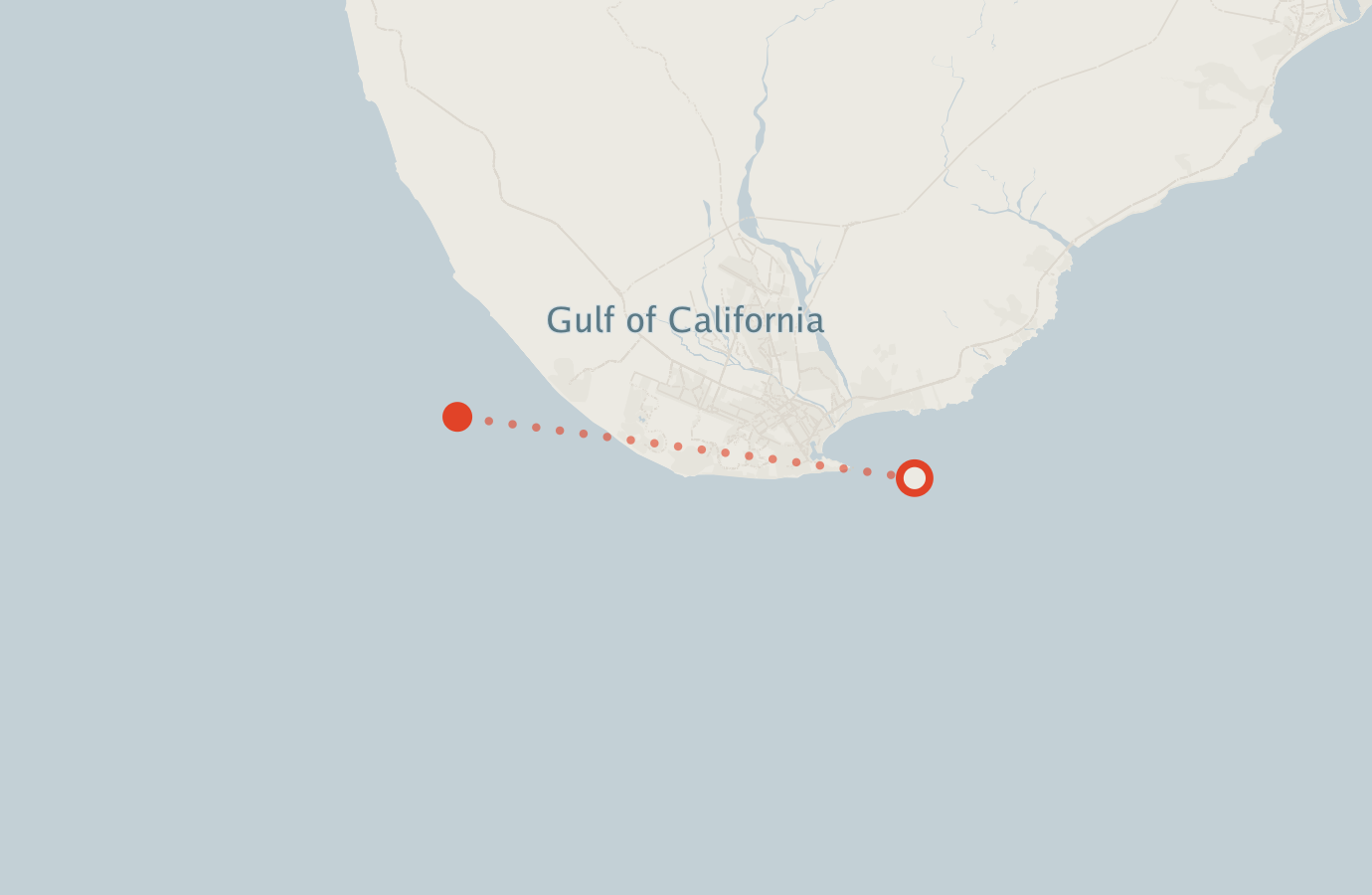 Activity map — real sighting points on an OpenStreetMap basemap