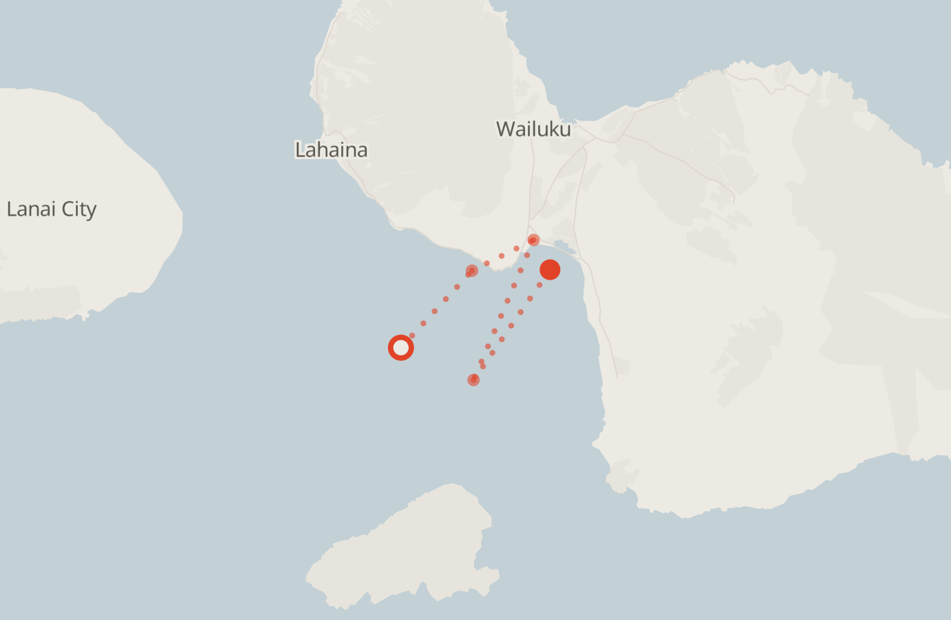 Activity map — real sighting points on an OpenStreetMap basemap
