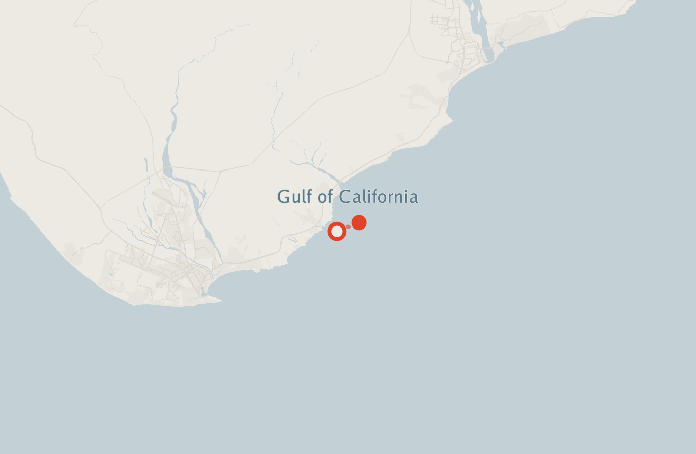 Activity map — real sighting points on an OpenStreetMap basemap