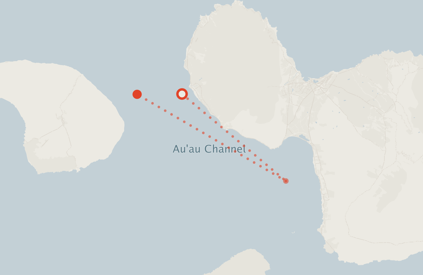 Activity map — real sighting points on an OpenStreetMap basemap