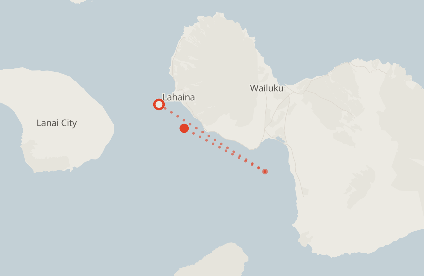 Activity map — real sighting points on an OpenStreetMap basemap