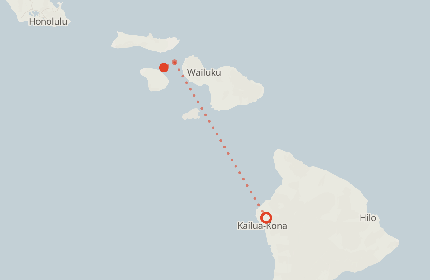 Activity map — real sighting points on an OpenStreetMap basemap