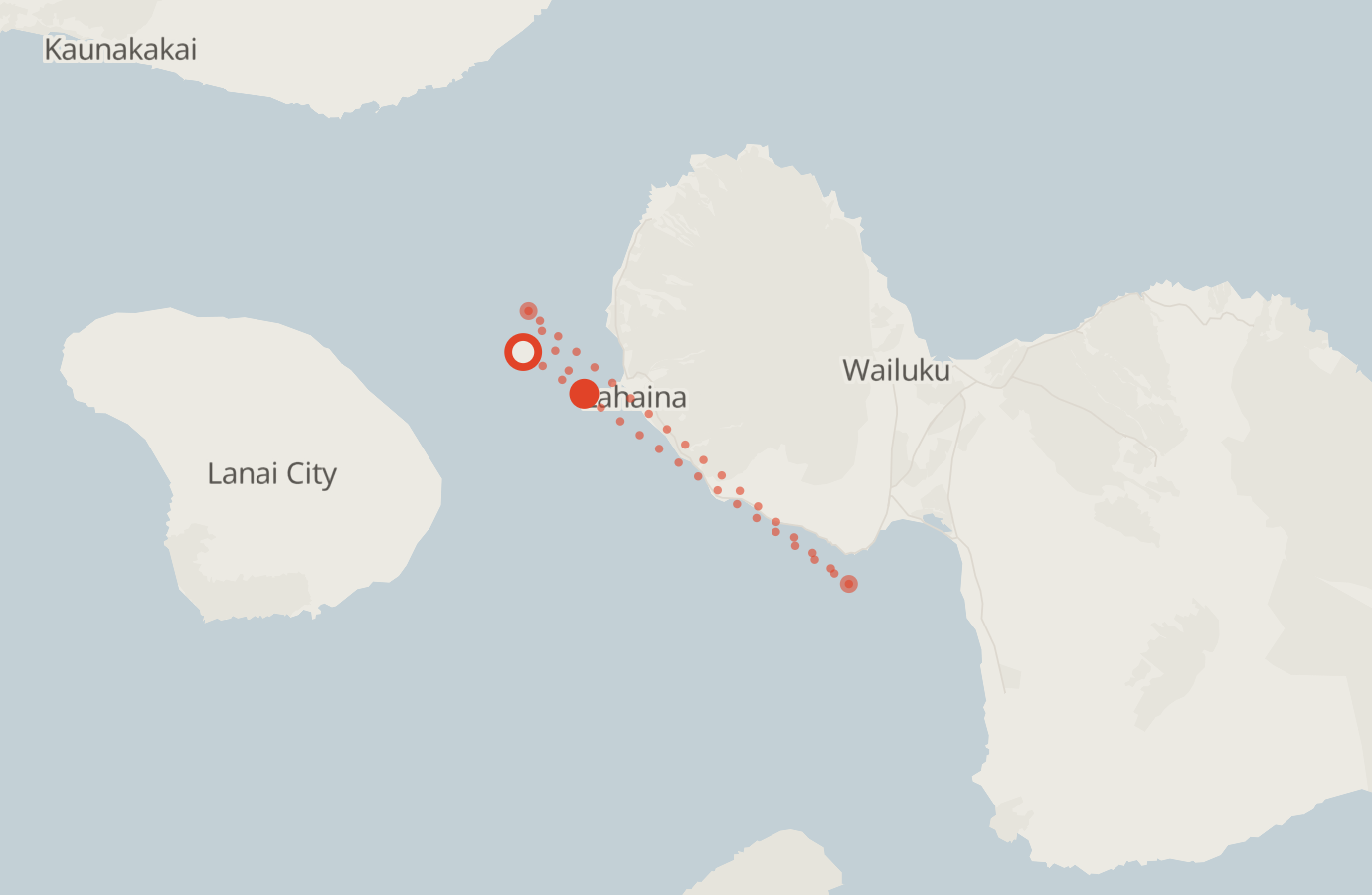 Activity map — real sighting points on an OpenStreetMap basemap
