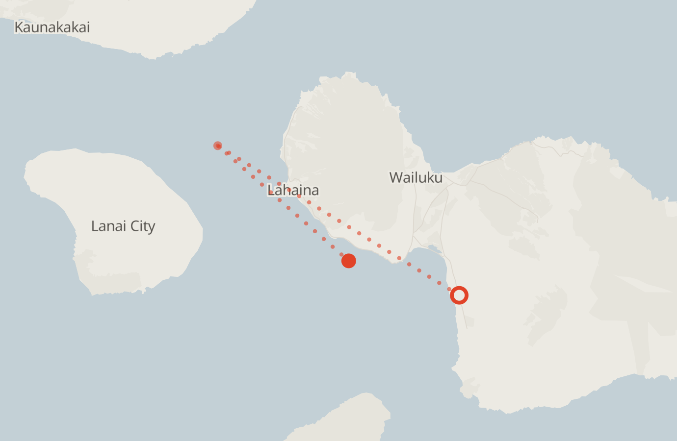 Activity map — real sighting points on an OpenStreetMap basemap