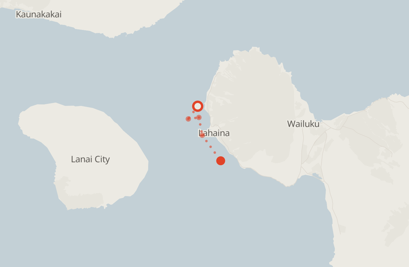 Activity map — real sighting points on an OpenStreetMap basemap