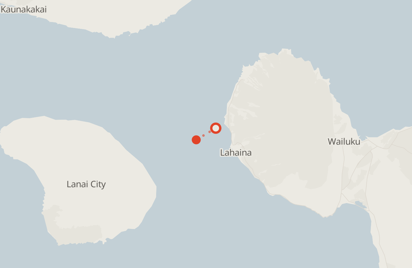 Activity map — real sighting points on an OpenStreetMap basemap
