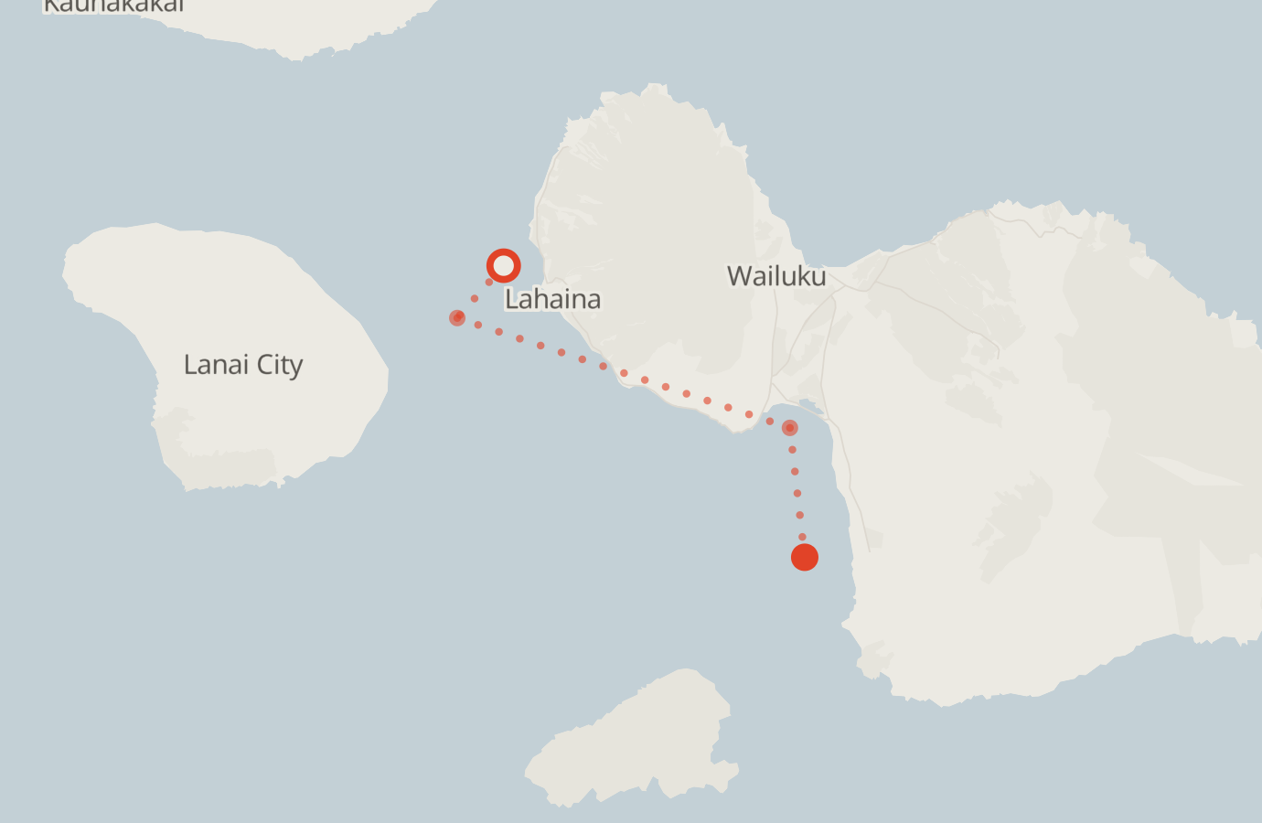 Activity map — real sighting points on an OpenStreetMap basemap