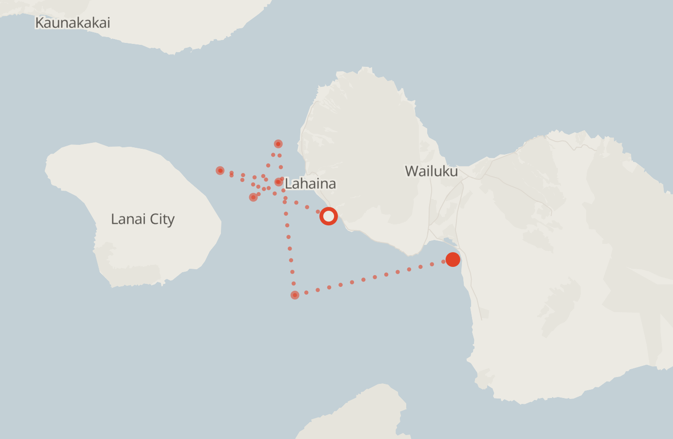 Activity map — real sighting points on an OpenStreetMap basemap
