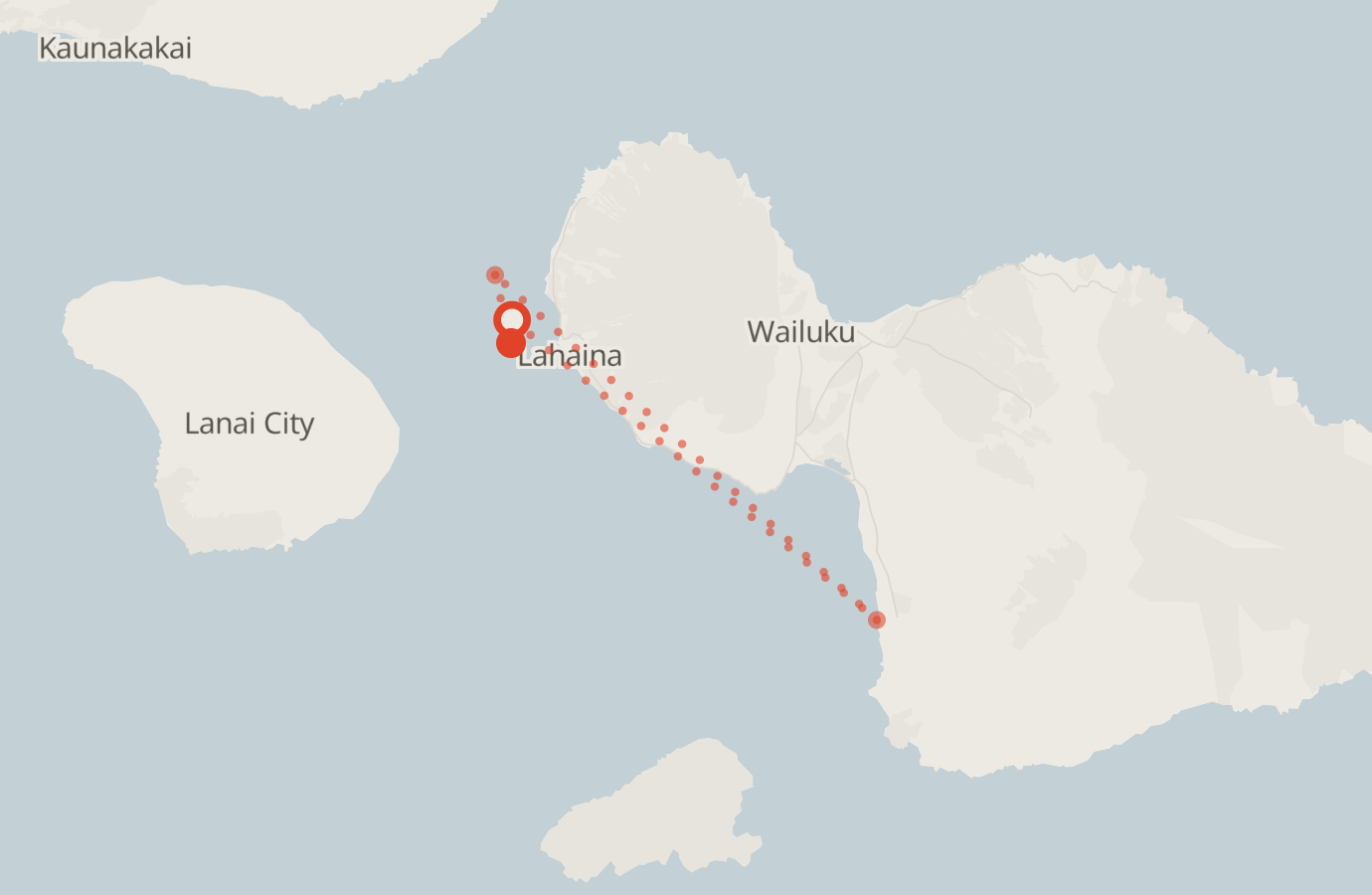 Activity map — real sighting points on an OpenStreetMap basemap