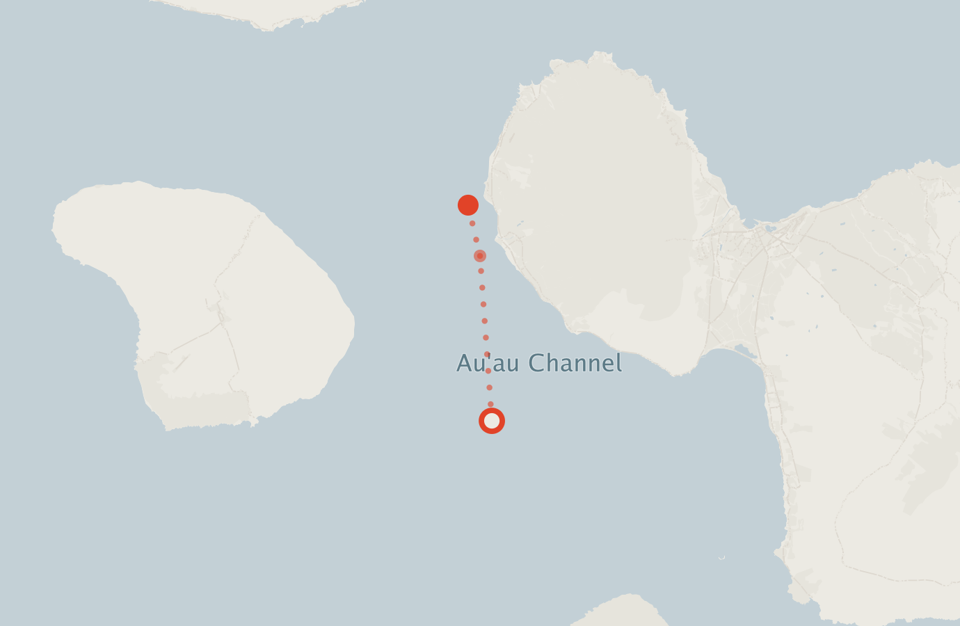 Activity map — real sighting points on an OpenStreetMap basemap