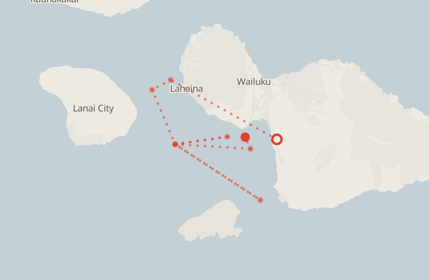 Activity map — real sighting points on an OpenStreetMap basemap