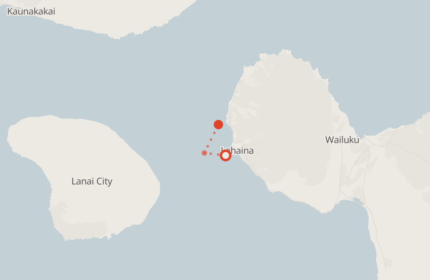 Activity map — real sighting points on an OpenStreetMap basemap