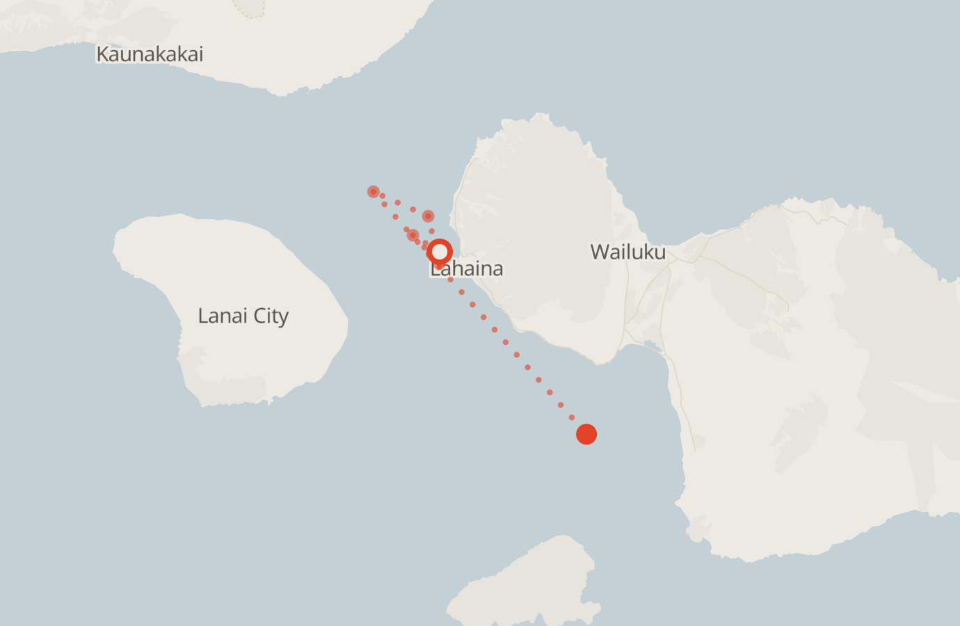 Activity map — real sighting points on an OpenStreetMap basemap