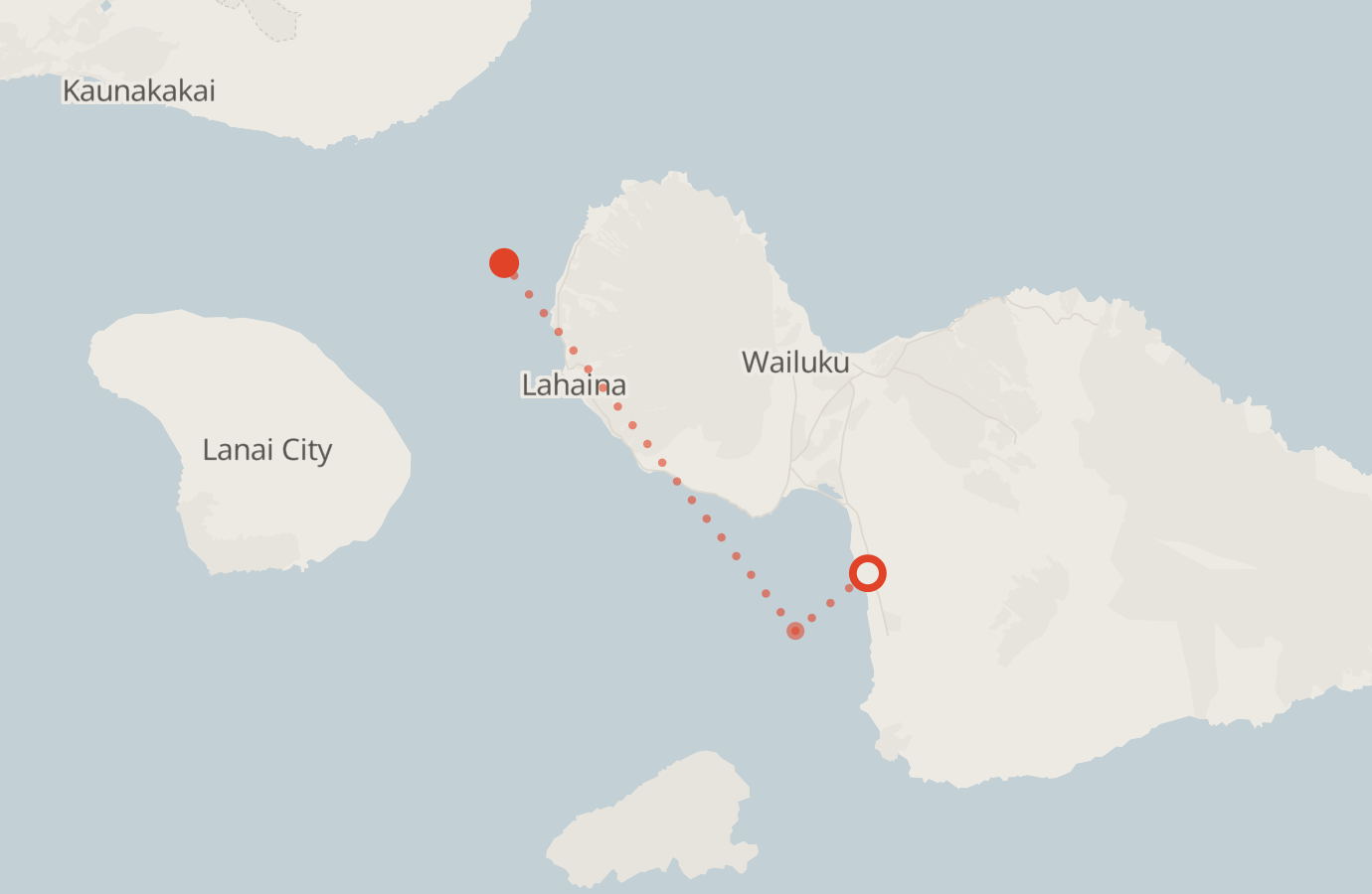 Activity map — real sighting points on an OpenStreetMap basemap