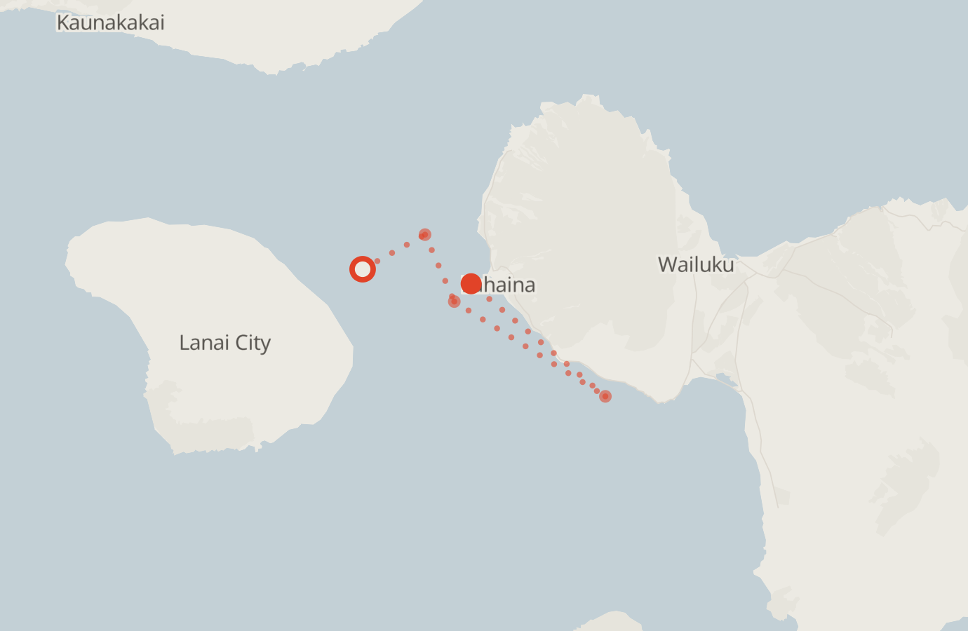 Activity map — real sighting points on an OpenStreetMap basemap