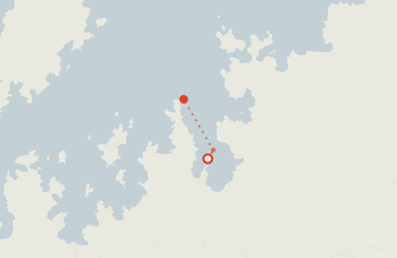 Activity map — real sighting points on an OpenStreetMap basemap