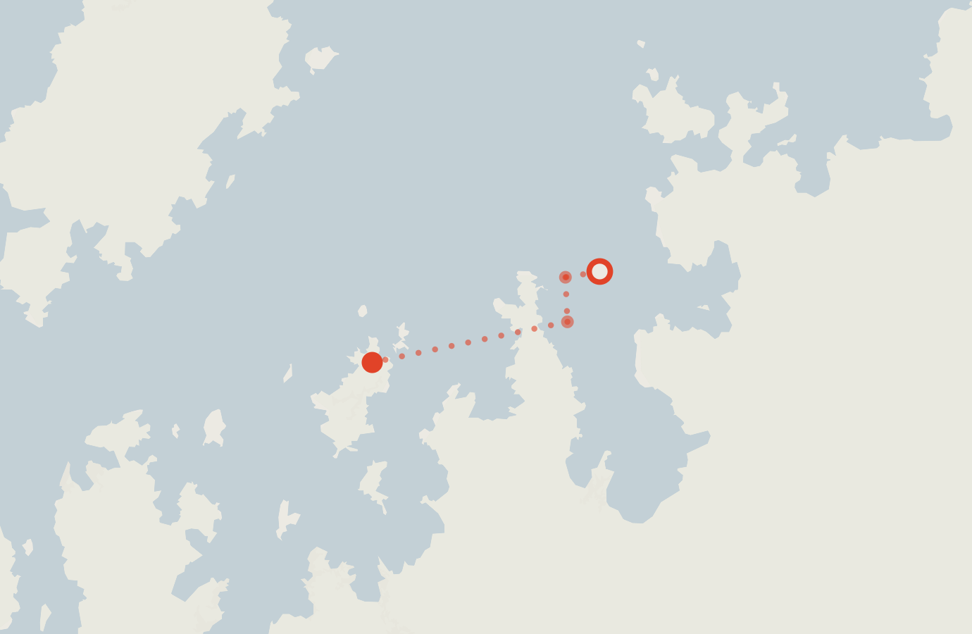 Activity map — real sighting points on an OpenStreetMap basemap