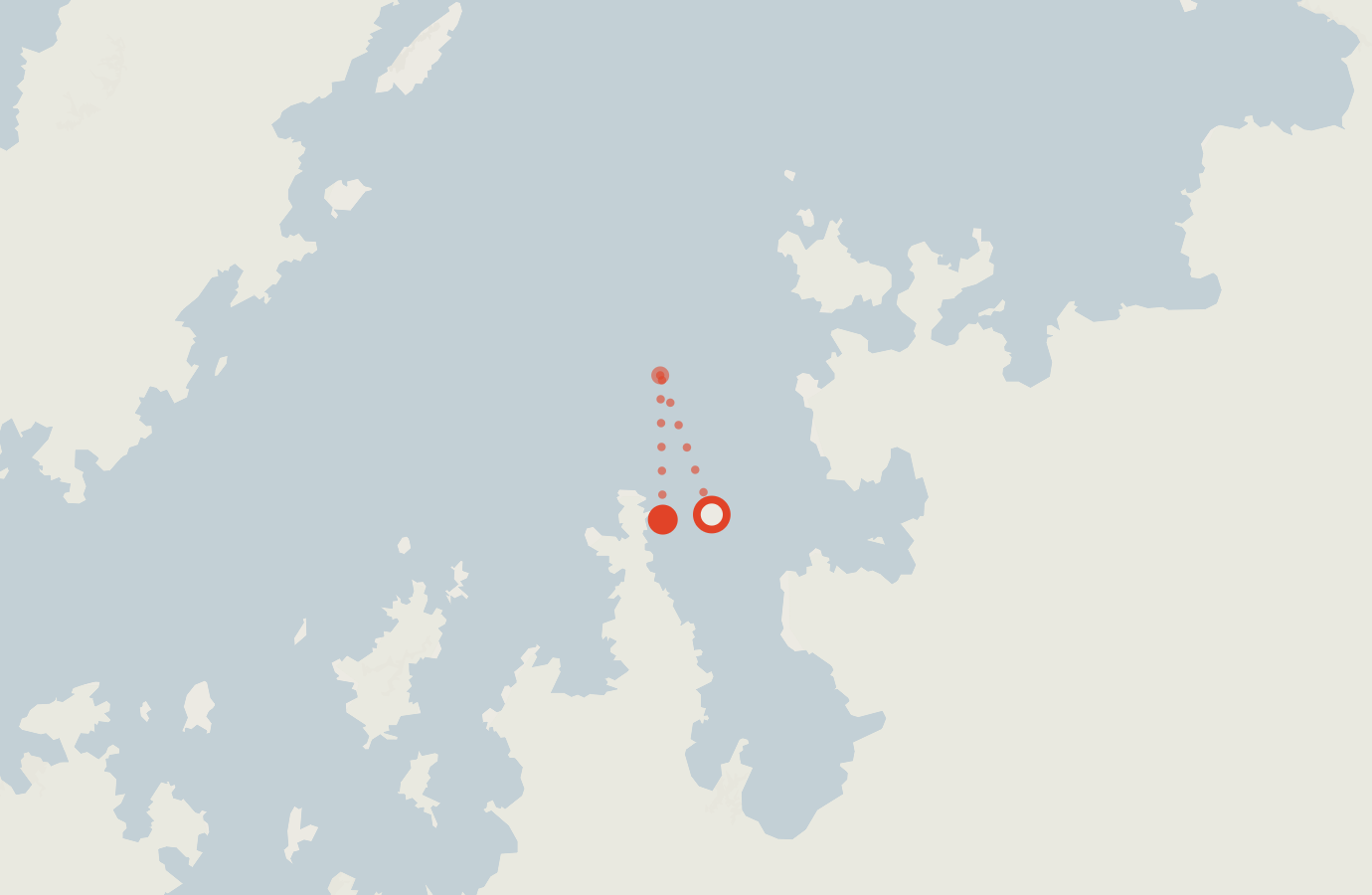 Activity map — real sighting points on an OpenStreetMap basemap