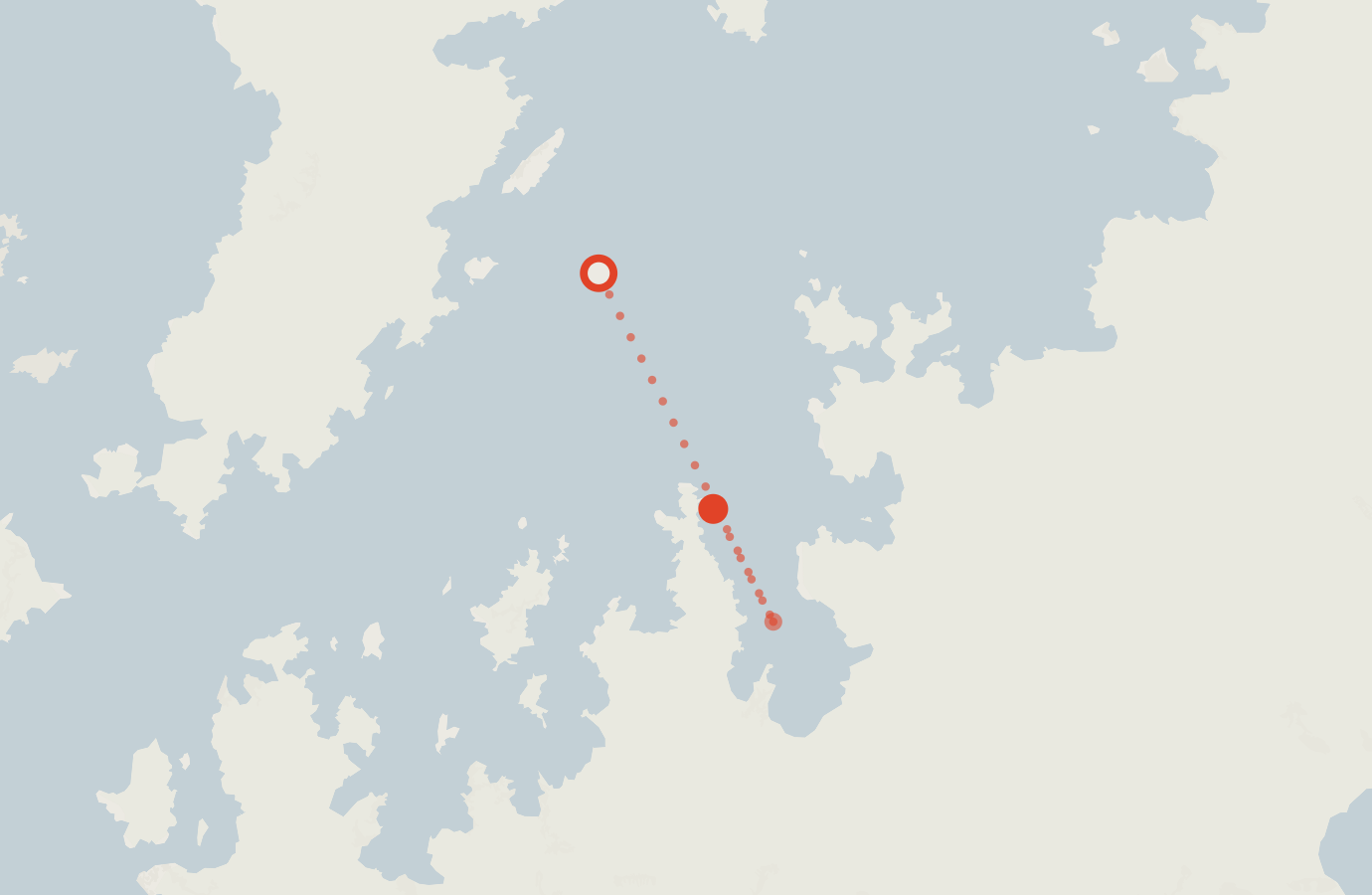 Activity map — real sighting points on an OpenStreetMap basemap