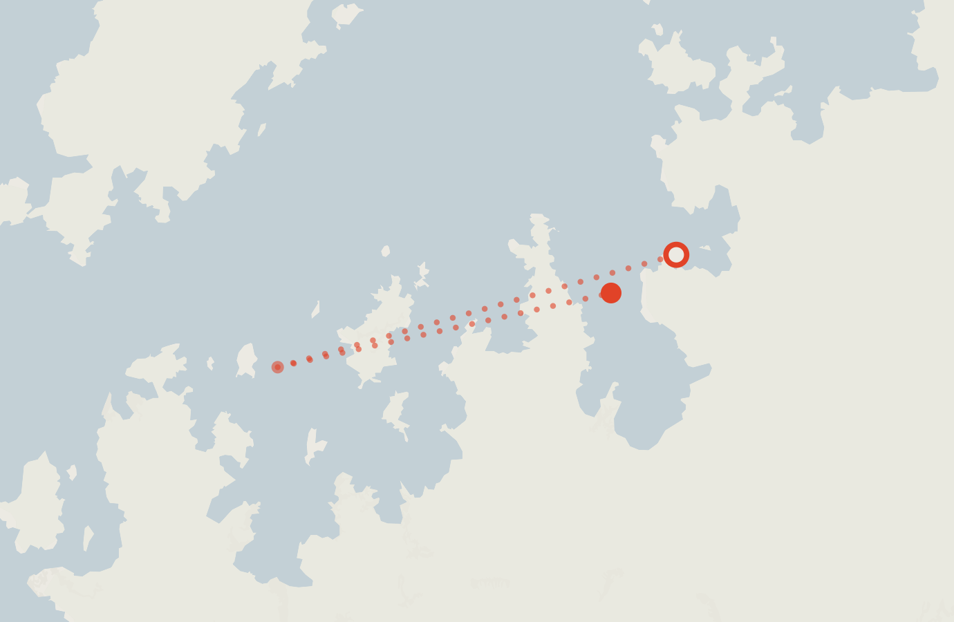 Activity map — real sighting points on an OpenStreetMap basemap