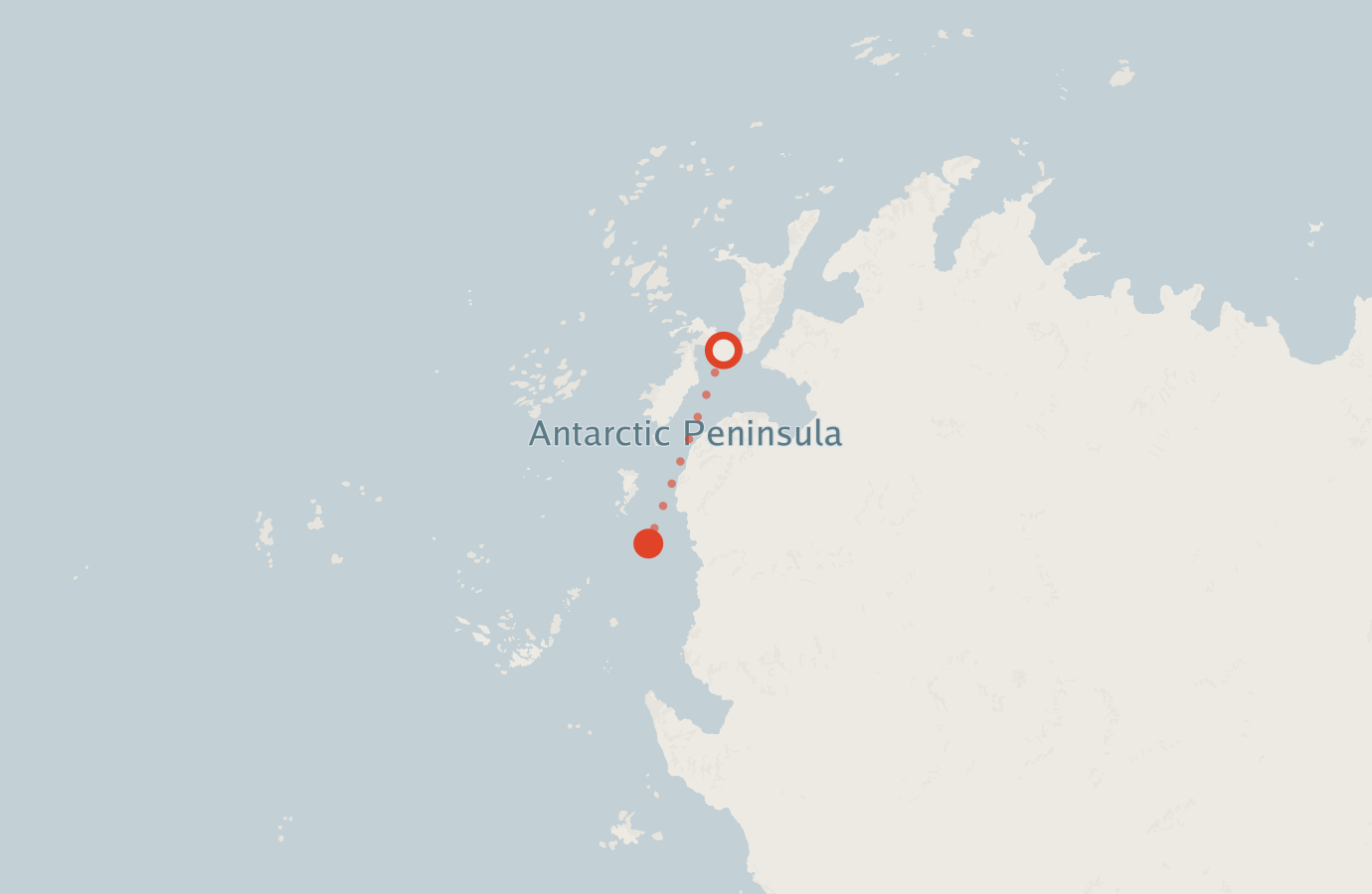 Activity map — real sighting points on an OpenStreetMap basemap