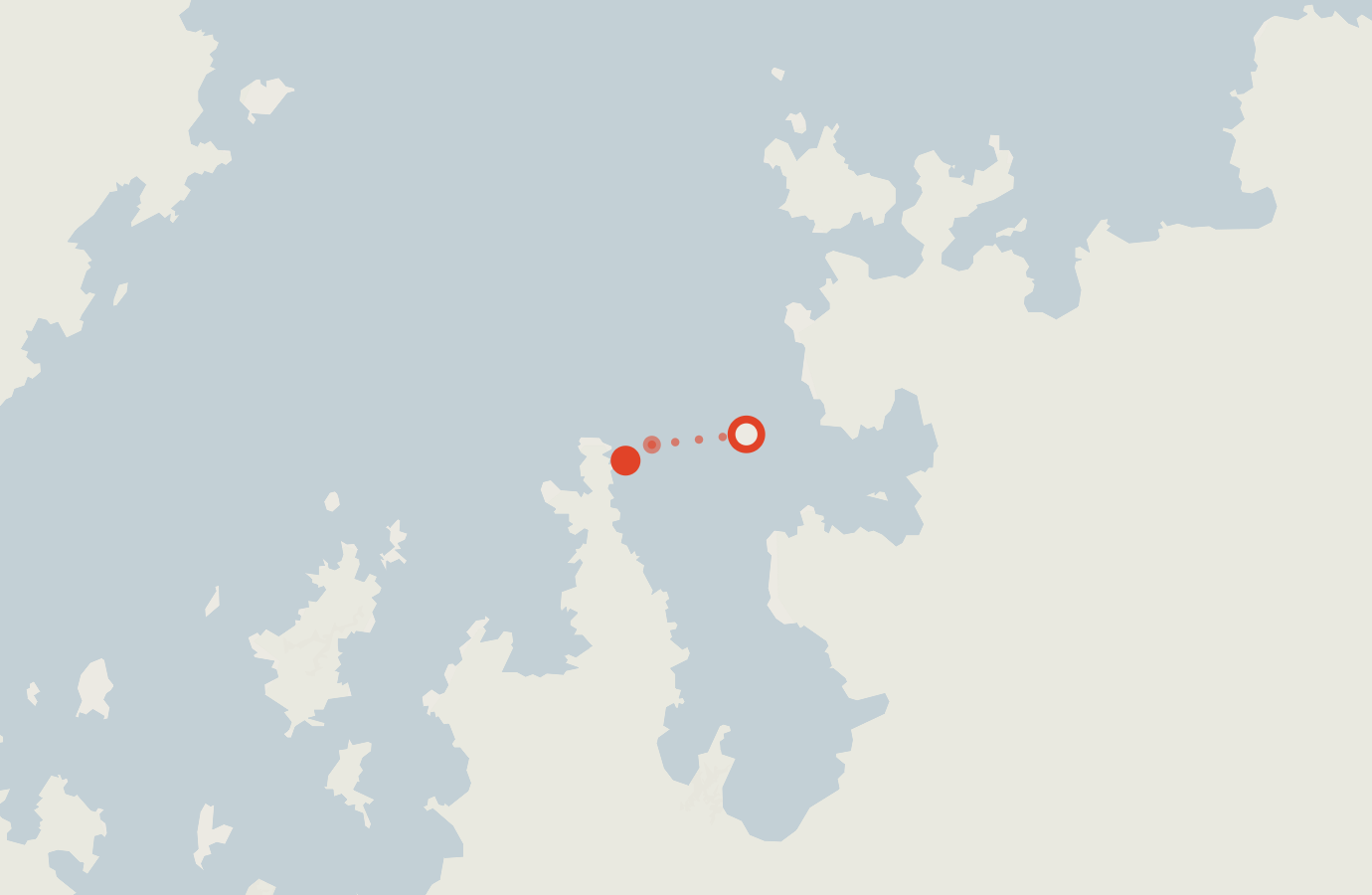 Activity map — real sighting points on an OpenStreetMap basemap