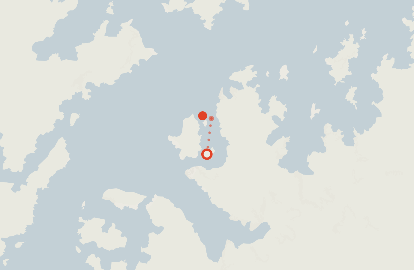 Activity map — real sighting points on an OpenStreetMap basemap