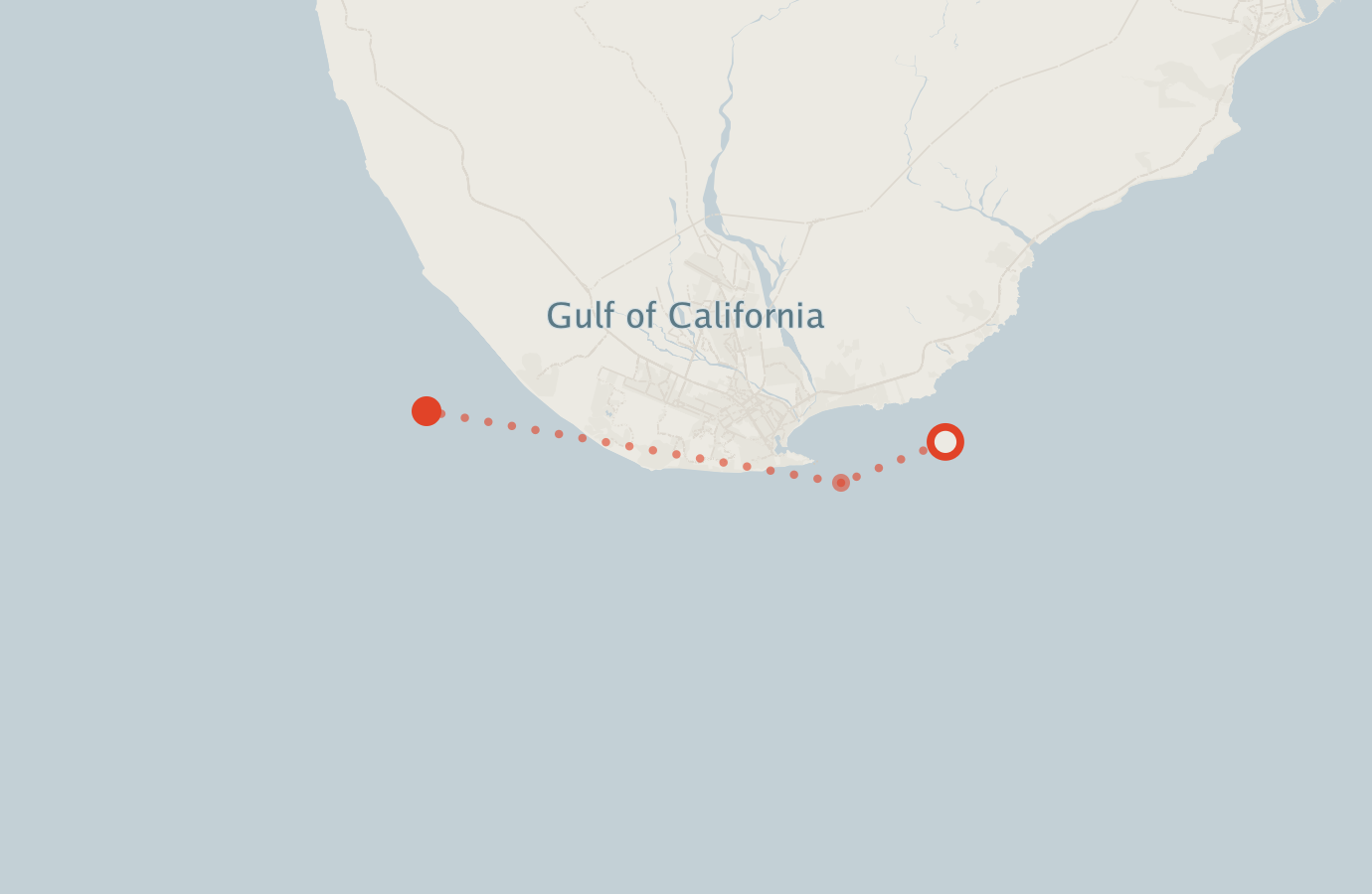 Activity map — real sighting points on an OpenStreetMap basemap
