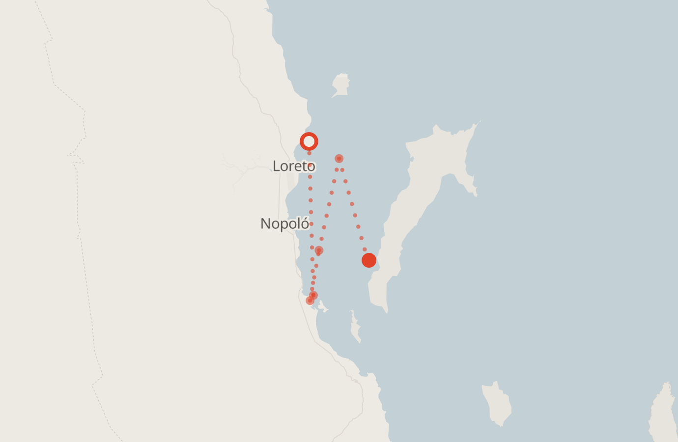 Activity map — real sighting points on an OpenStreetMap basemap