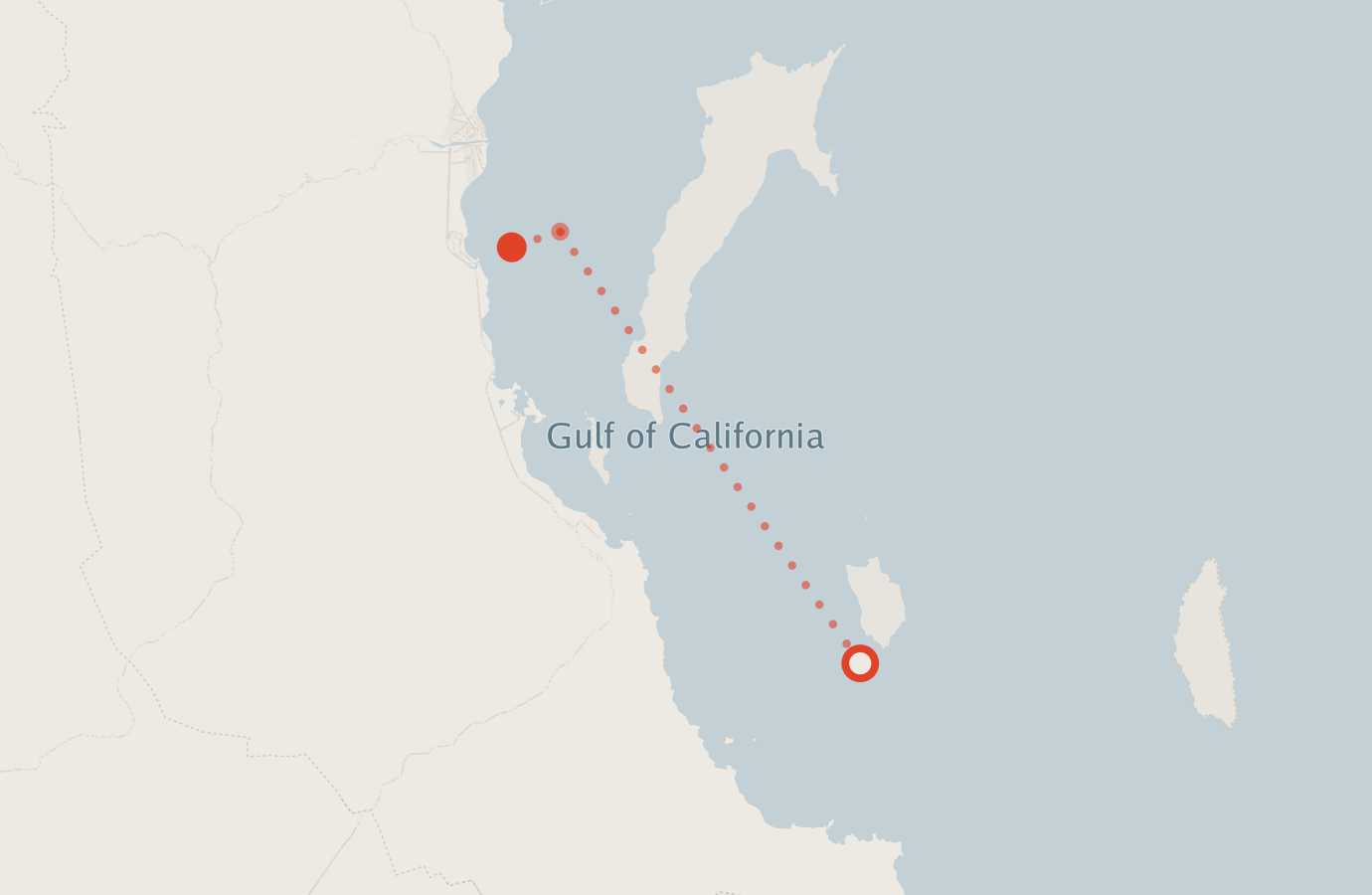 Activity map — real sighting points on an OpenStreetMap basemap