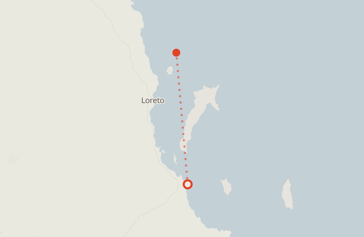 Activity map — real sighting points on an OpenStreetMap basemap