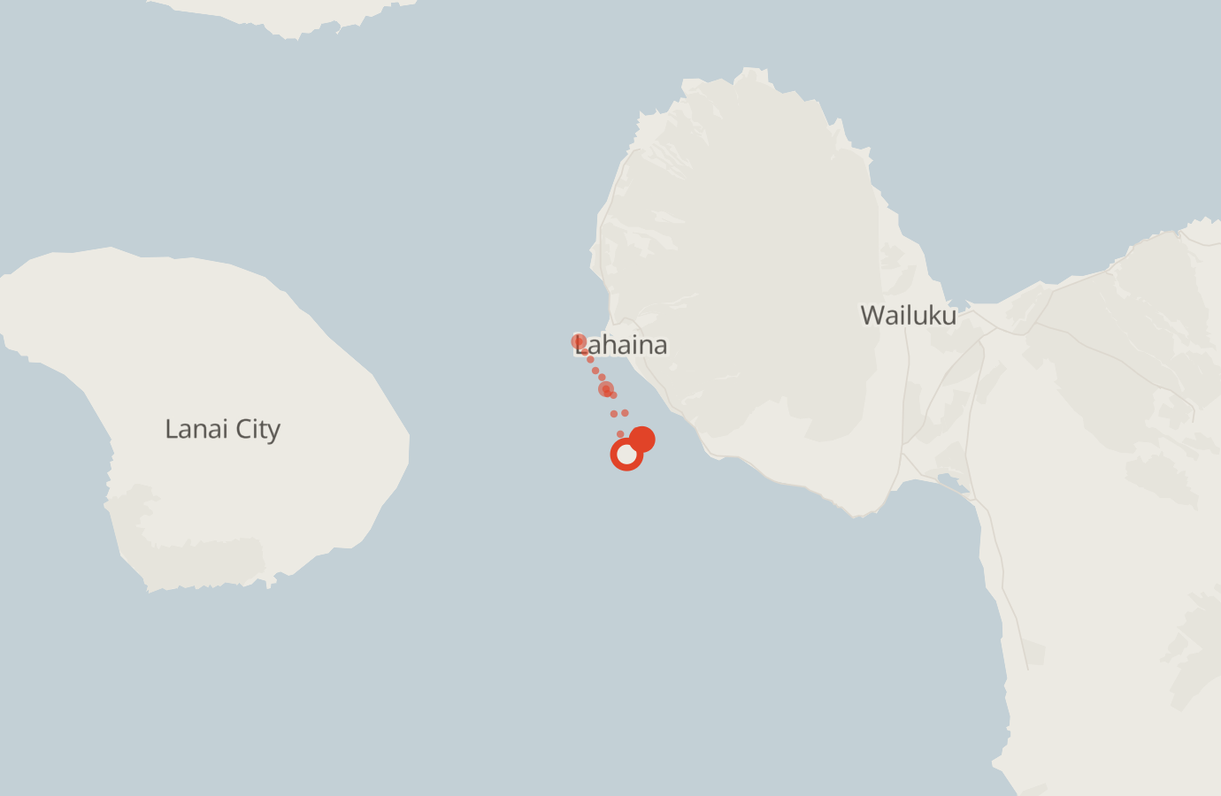 Activity map — real sighting points on an OpenStreetMap basemap