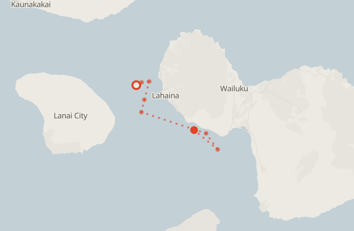 Activity map — real sighting points on an OpenStreetMap basemap