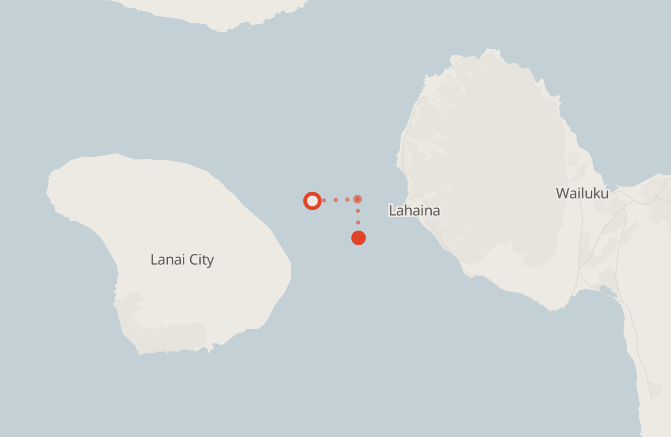 Activity map — real sighting points on an OpenStreetMap basemap
