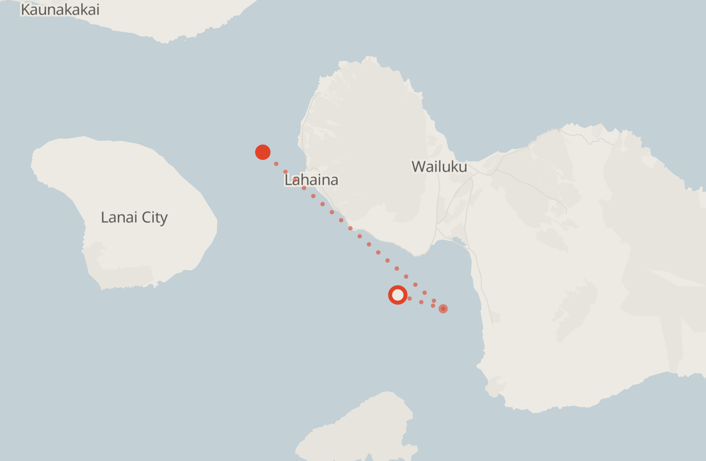 Activity map — real sighting points on an OpenStreetMap basemap