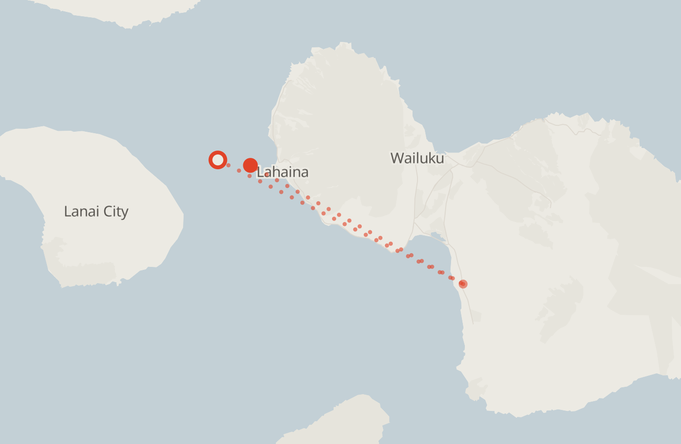 Activity map — real sighting points on an OpenStreetMap basemap