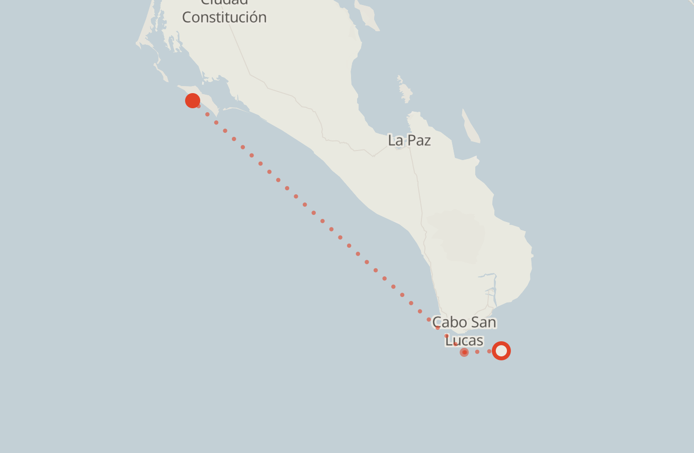 Activity map — real sighting points on an OpenStreetMap basemap