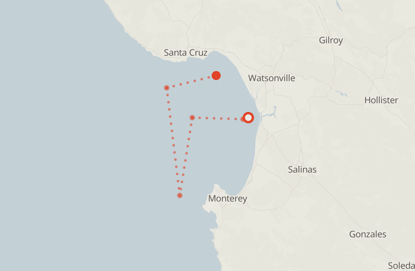 Activity map — real sighting points on an OpenStreetMap basemap