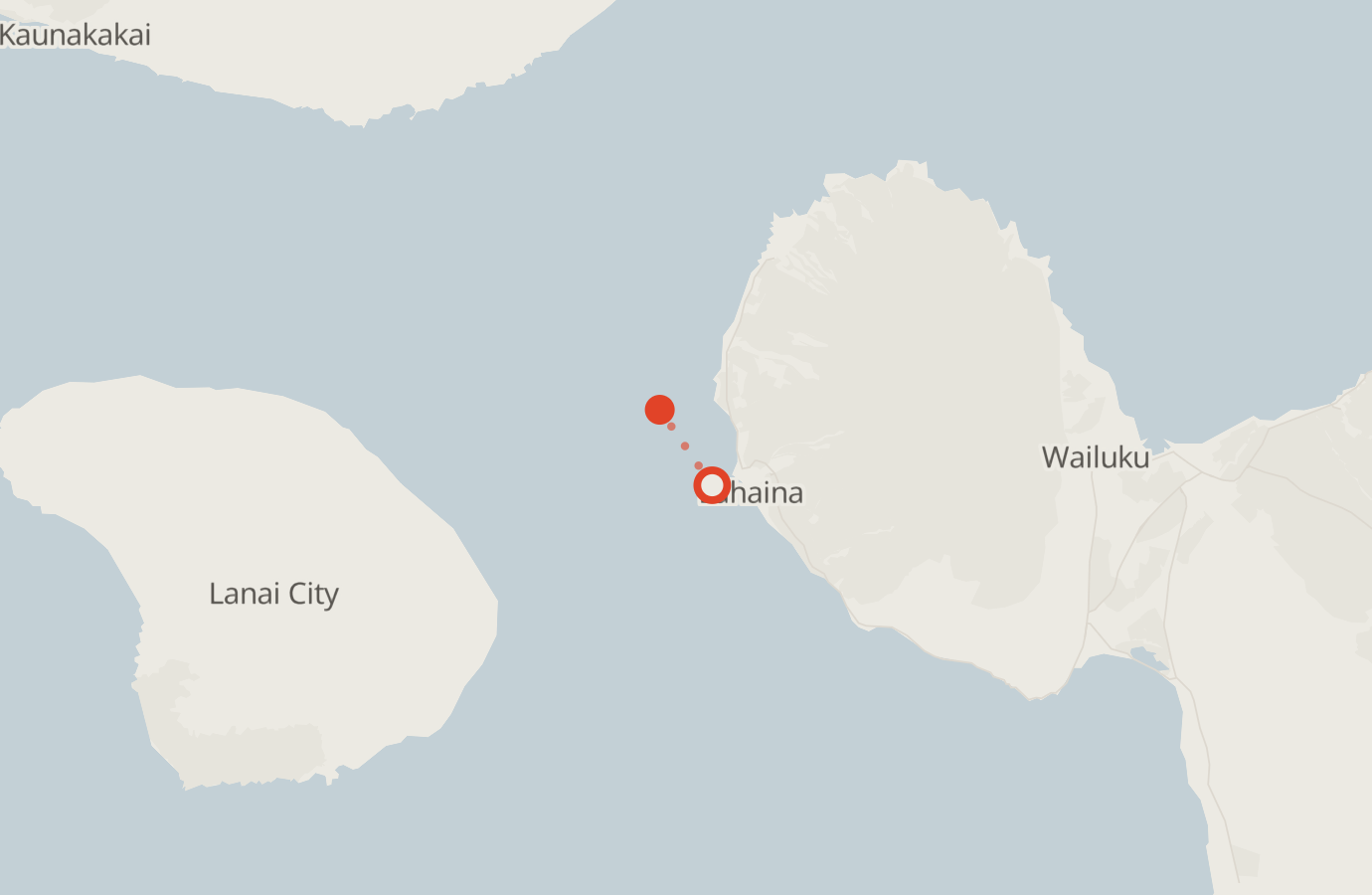 Activity map — real sighting points on an OpenStreetMap basemap