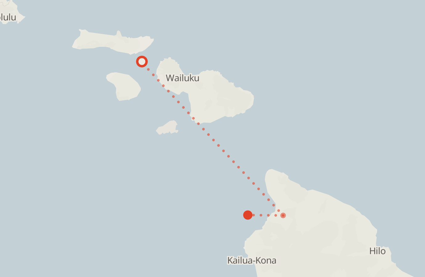 Activity map — real sighting points on an OpenStreetMap basemap