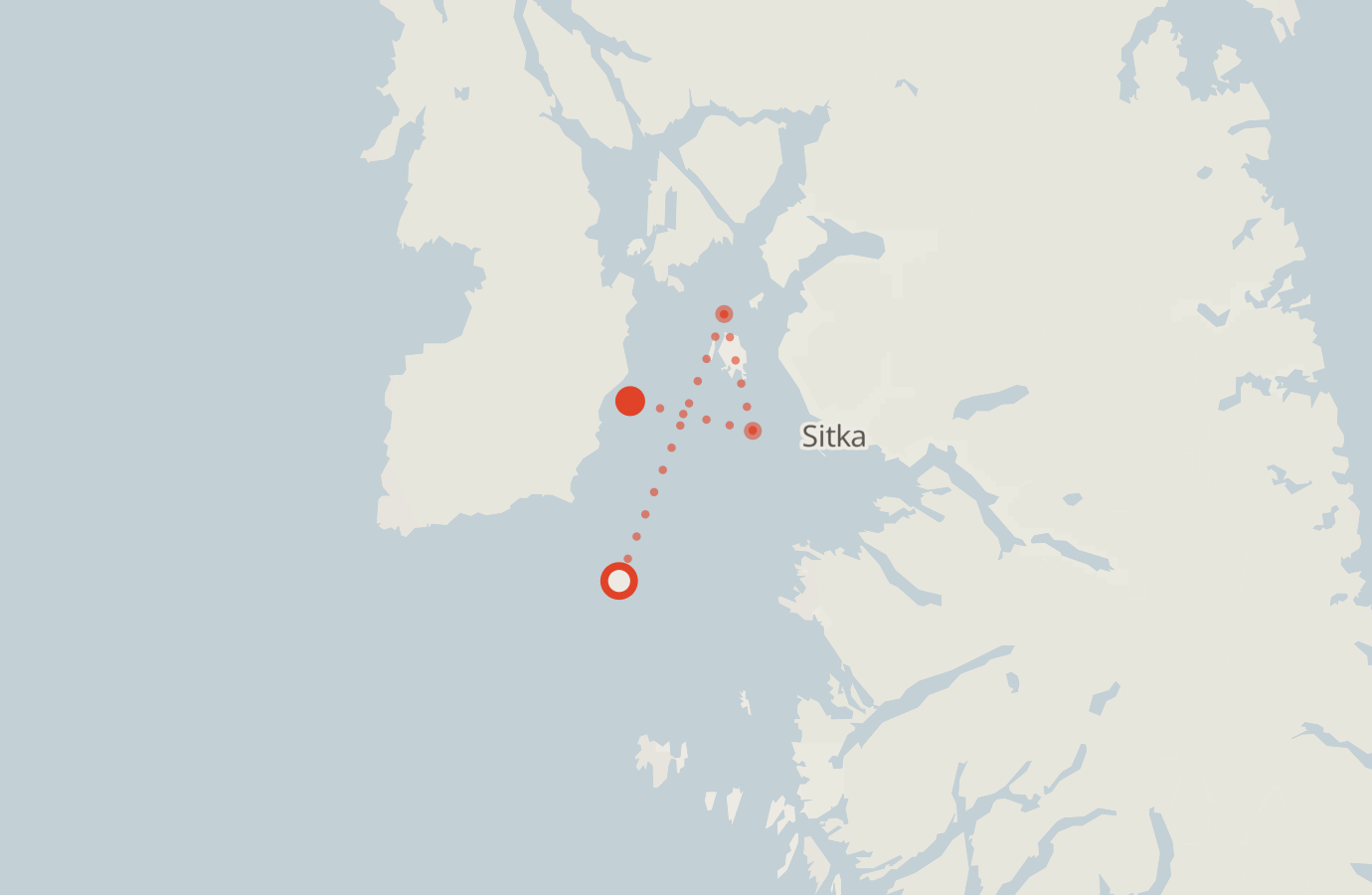 Activity map — real sighting points on an OpenStreetMap basemap